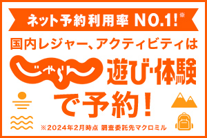 トップページ